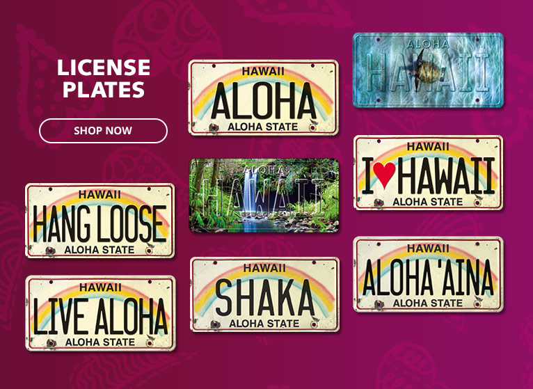 License Plates