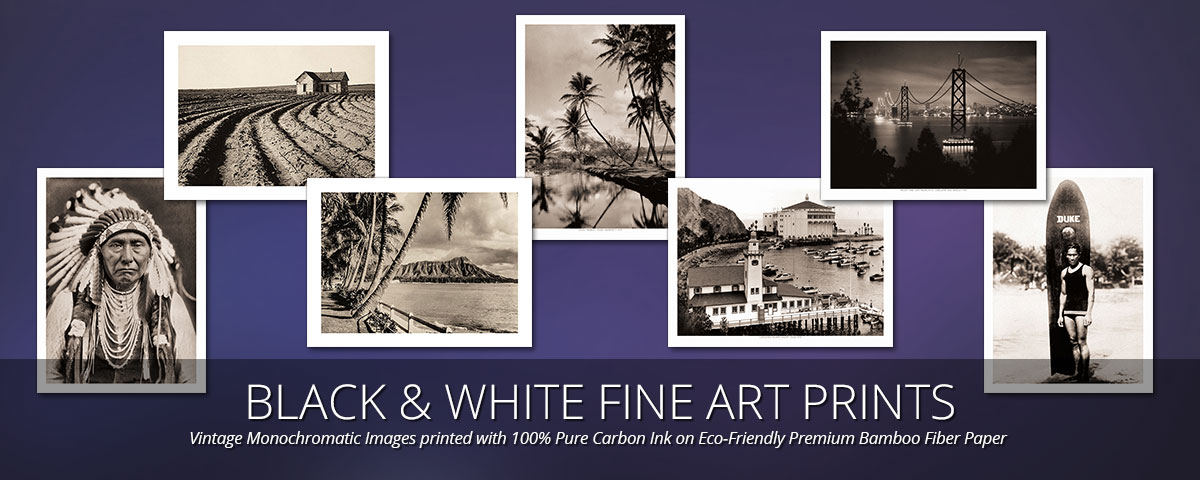 1200px x 480px - Hawaiian Art - Island Art Store - Hawaii Art Prints, Posters ...
