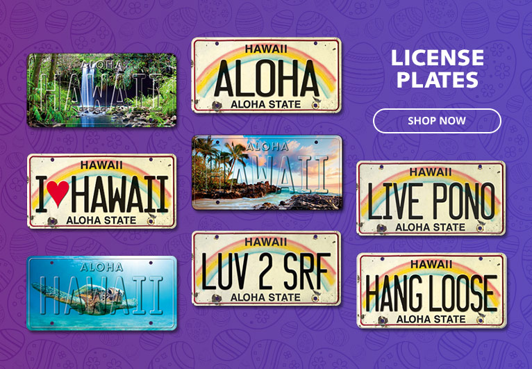 License Plates