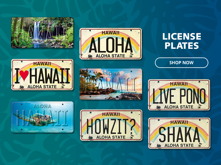 License Plates