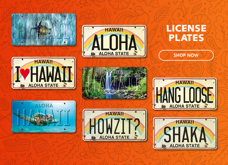 License Plates