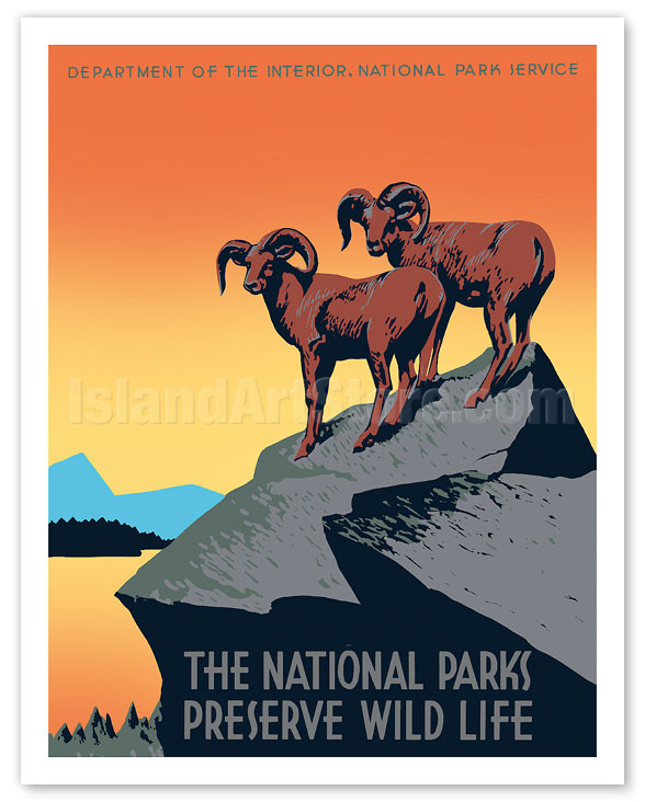 Two bighorn sheep standing on a rocky cliff overlooking a lake and mountain landscape at sunset, with the text &ldquo;The National Parks Preserve Wild Life&rdquo; and &ldquo;Department of the Interior, National Park Service&rdquo; above.