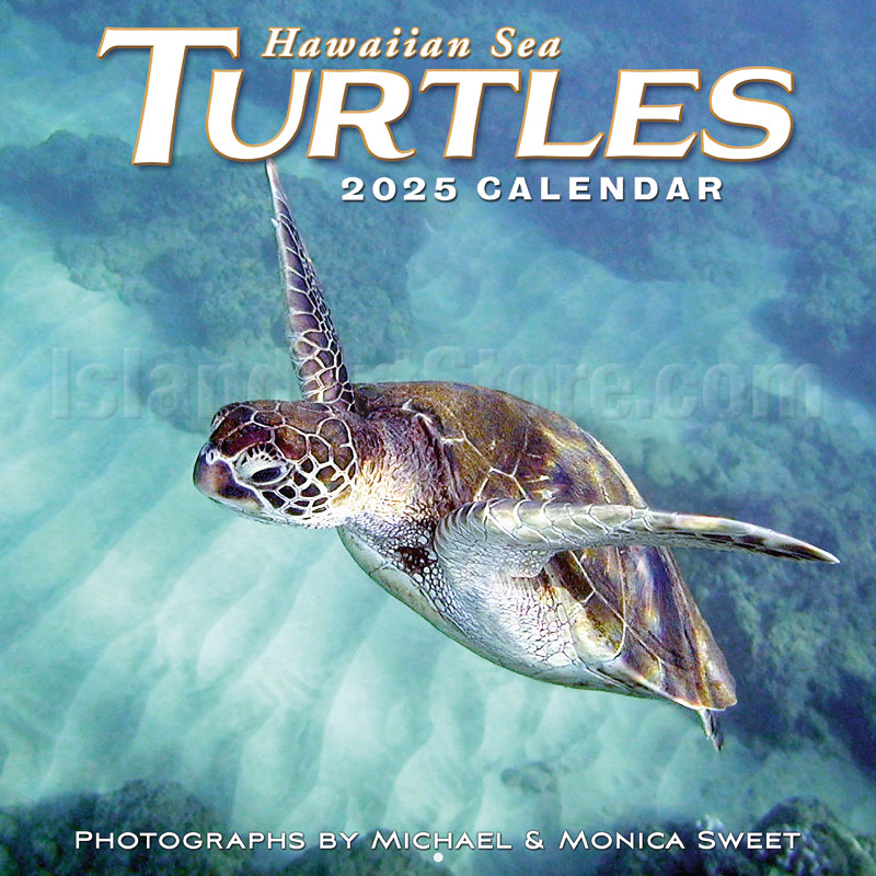 Hawaiian Sea Turtles 2025 Wall Calendar Photographs by Michael