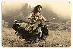 Swaying Skirt, Hawaiian Hula Dancer - Metal Sign Art